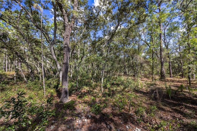 206 Linder Dr, Homosassa, FL 34446 - photo 10
