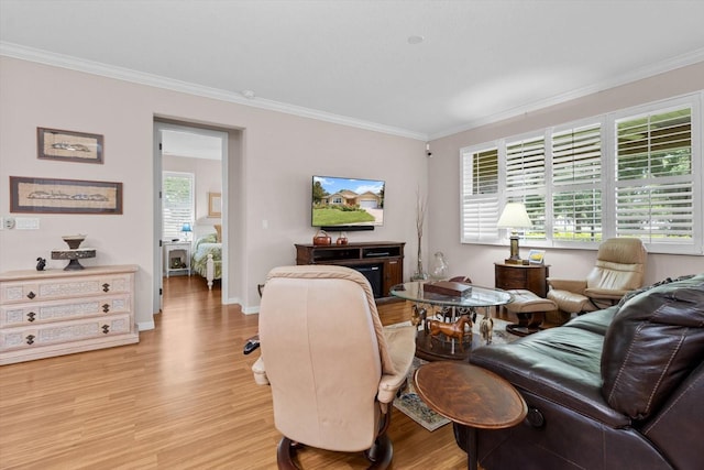 9251 SW 94th Loop, Ocala, FL 34481 - living room featuring ornamental molding and light wood-type flooring