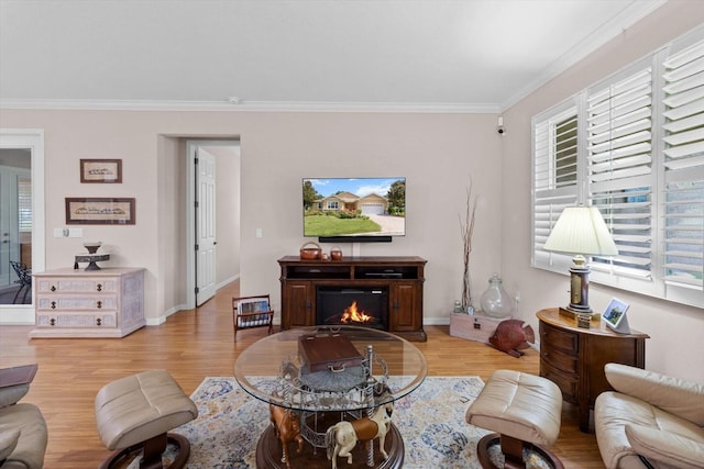 9251 SW 94th Loop, Ocala, FL 34481 - living area with ornamental molding, light wood-style flooring, plenty of natural light, and a lit fireplace