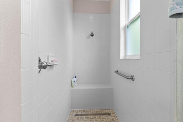 9251 SW 94th Loop, Ocala, FL 34481 - full bathroom with a tile shower and pet washing area