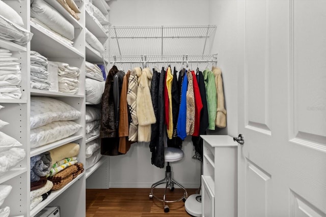 9251 SW 94th Loop, Ocala, FL 34481 - spacious closet with wood finished floors
