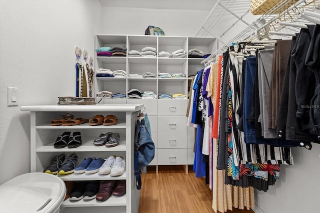 9251 SW 94th Loop, Ocala, FL 34481 - spacious closet featuring wood finished floors