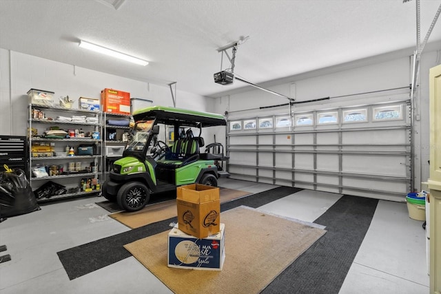 9251 SW 94th Loop, Ocala, FL 34481 - garage with a garage door opener