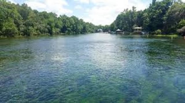 231 S Barbour St, Beverly Hills, FL 34465 - water view featuring a heavily wooded area