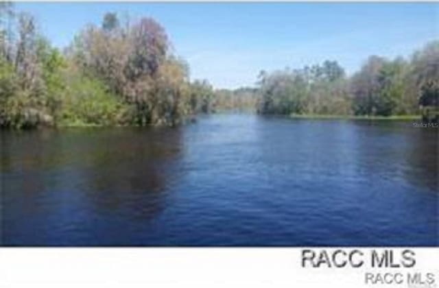 231 S Barbour St, Beverly Hills, FL 34465 - water view featuring a forest