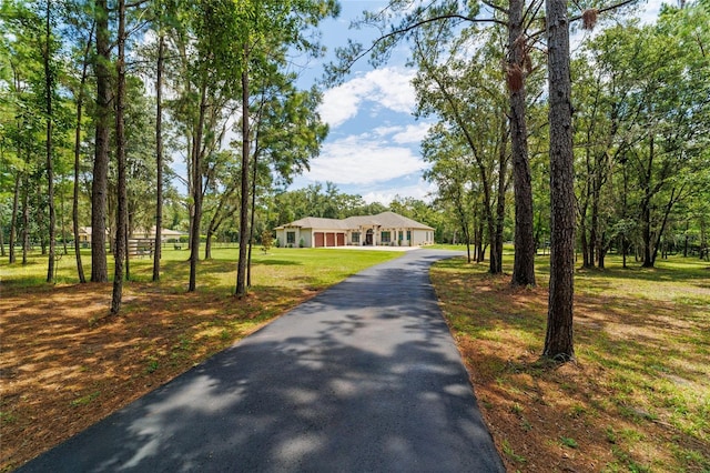 14479 NW 147th Ct, Williston, FL 32696 - photo 1