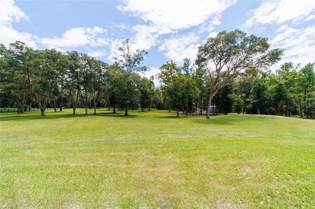 14479 NW 147th Ct, Williston, FL 32696 - photo 67