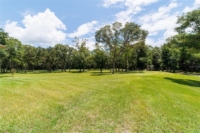 14479 NW 147th Ct, Williston, FL 32696 - photo 68
