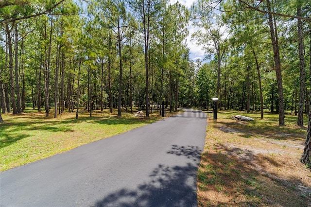 14479 NW 147th Ct, Williston, FL 32696 - photo 69