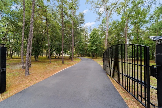 14479 NW 147th Ct, Williston, FL 32696 - photo 71