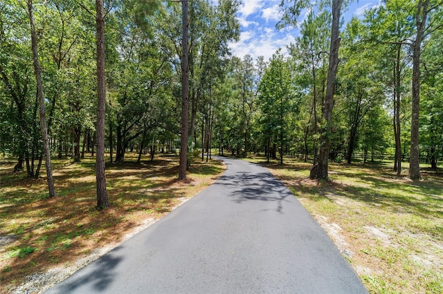 14479 NW 147th Ct, Williston, FL 32696 - photo 72