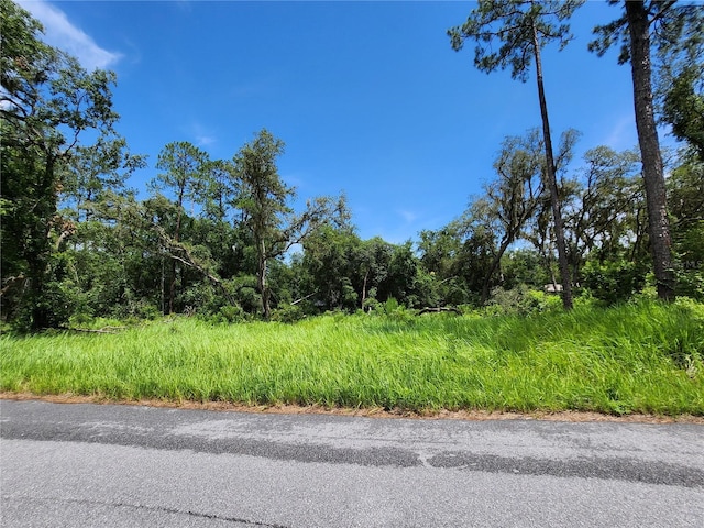 TBD Oak Lane Way, Ocala, FL 34472 - photo 1