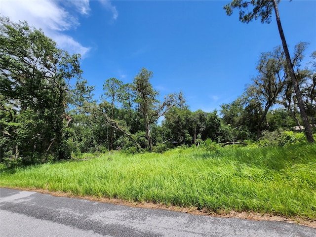 TBD Oak Lane Way, Ocala, FL 34472 - photo 2