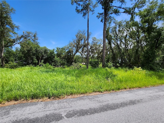 TBD Oak Lane Way, Ocala, FL 34472 - photo 3