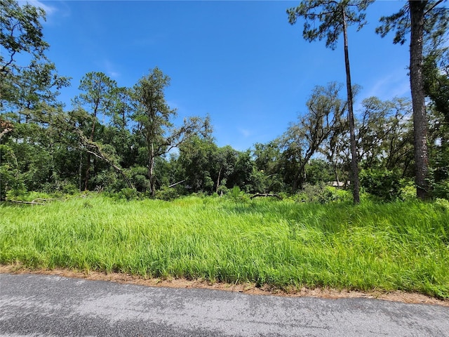 TBD Oak Lane Way, Ocala, FL 34472 - photo 4