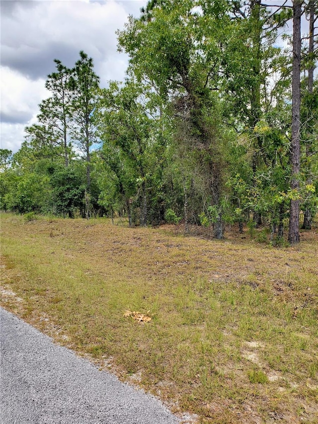 10715 N Academy Dr, Citrus Springs, FL 34434