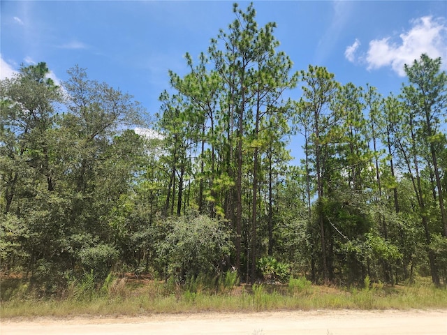 Sw 76 Lane, Dunnellon, FL 34432 - photo 1