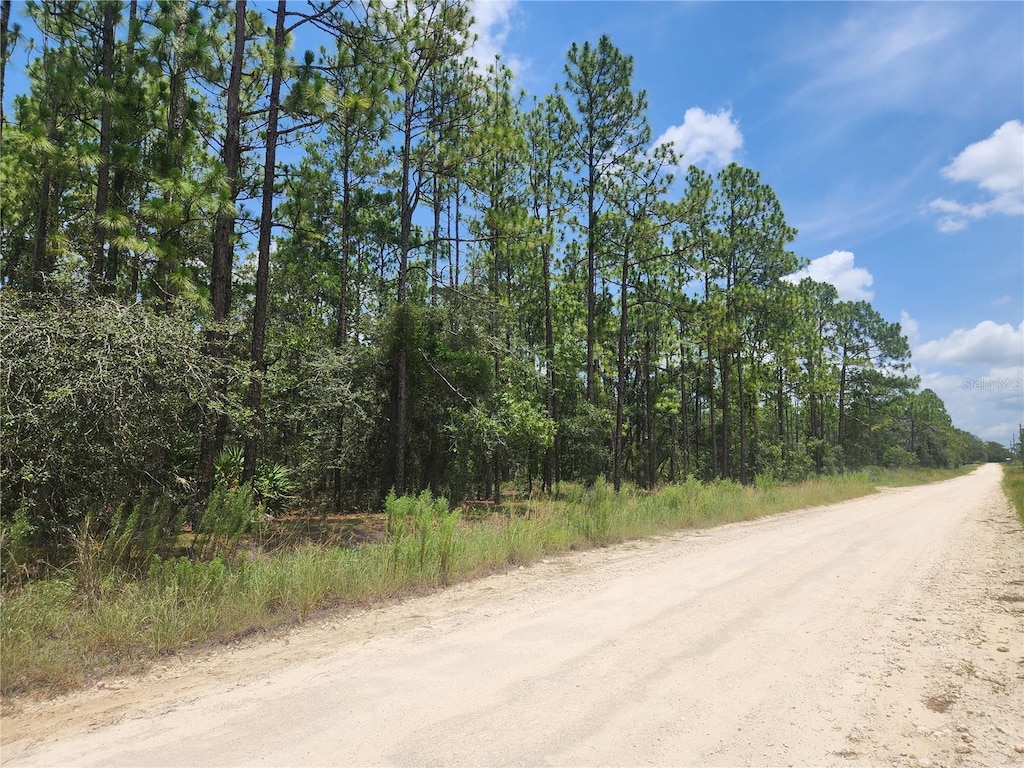 Sw 76 Lane, Dunnellon, FL 34432 - photo 2