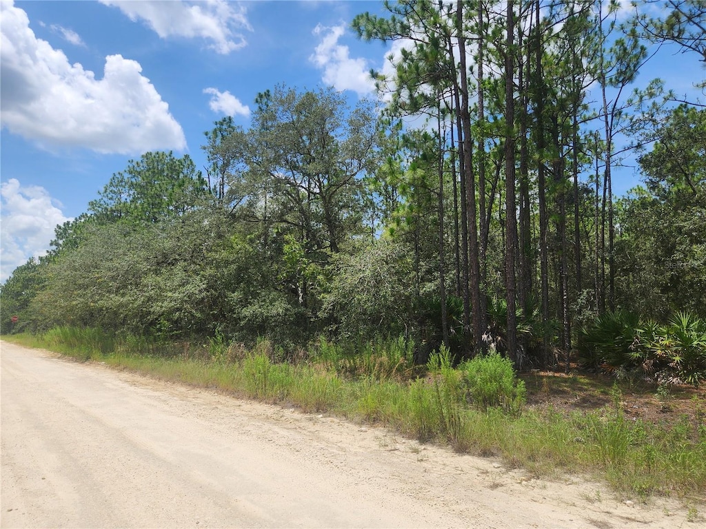 Sw 76 Lane, Dunnellon, FL 34432 - photo 3