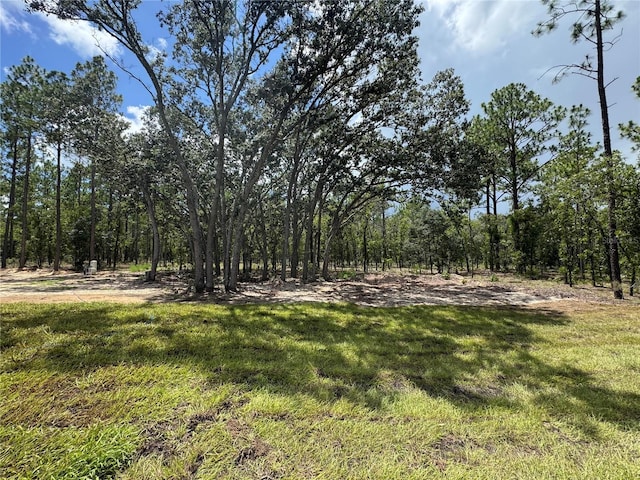 2904 NW Holly Rd, Dunnellon, FL 34431 - photo 4