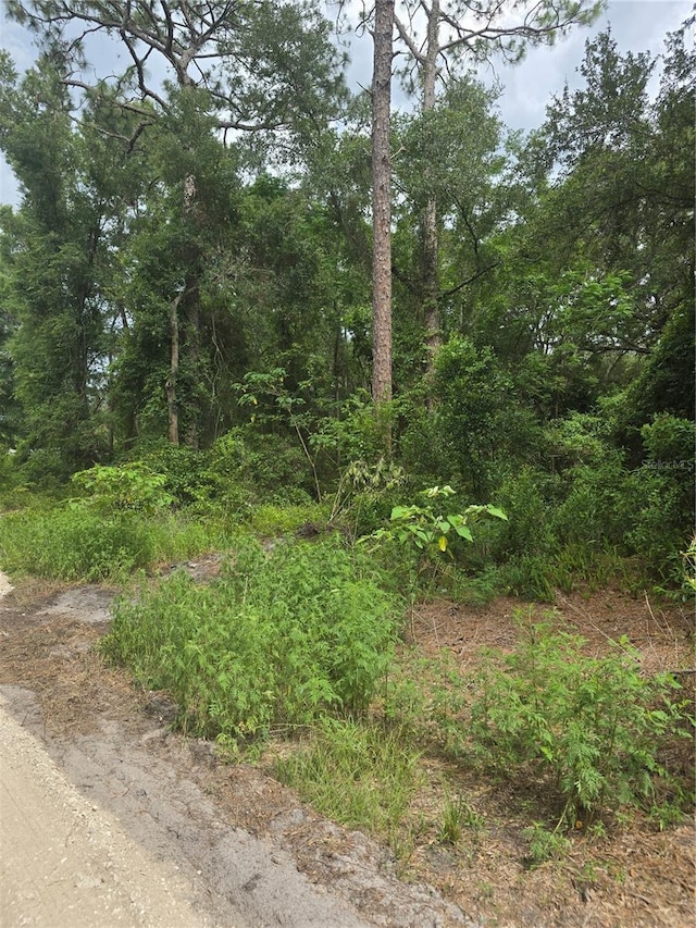 1650 SE 178th Ln, Summerfield, FL 34491 - photo 1