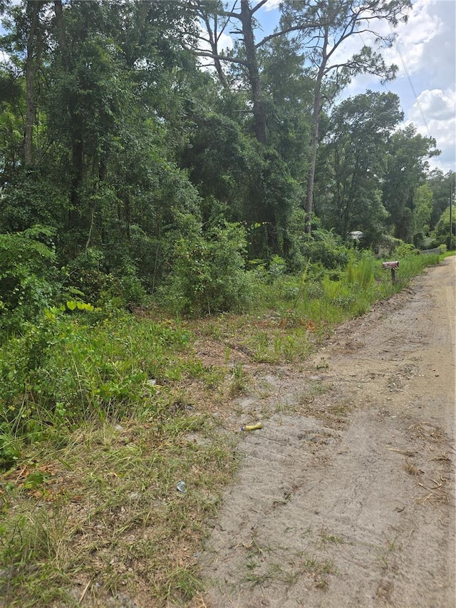 1650 SE 178th Ln, Summerfield, FL 34491 - photo 3