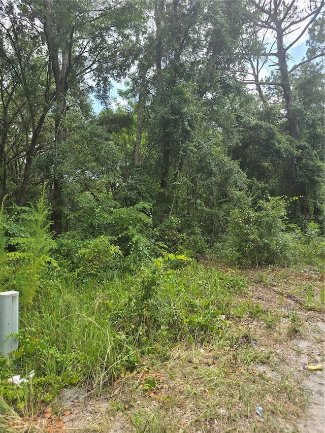 1650 SE 178th Ln, Summerfield, FL 34491 - photo 4
