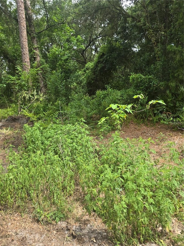 1650 SE 178th Ln, Summerfield, FL 34491 - photo 5