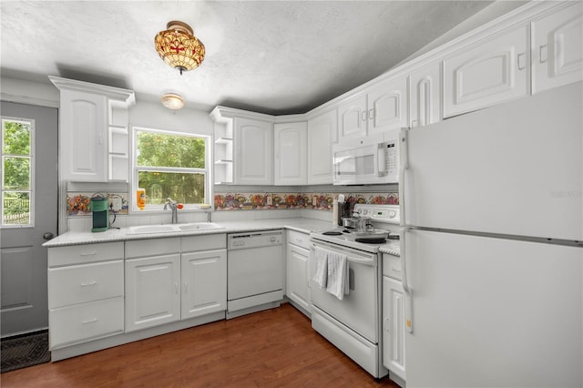 16770 SW 137th Ave, Archer, FL 32618 - photo 6