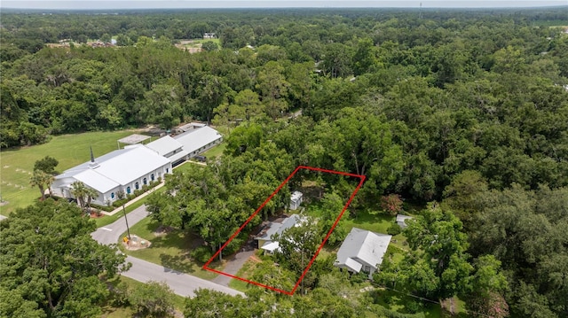 16770 SW 137th Ave, Archer, FL 32618 - photo 24