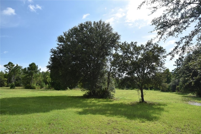 3353 NE 774th Ave, Old Town, FL 32680 - photo 5