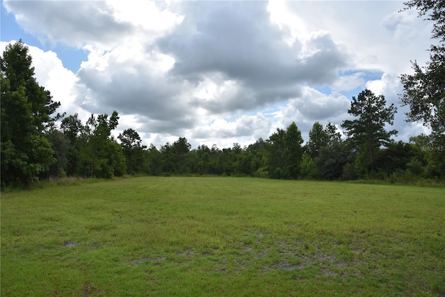 3353 NE 774th Ave, Old Town, FL 32680 - photo 8