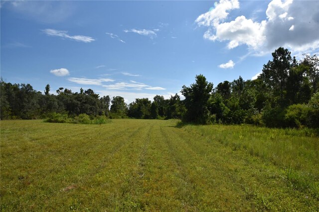 3353 NE 774th Ave, Old Town, FL 32680 - photo 10