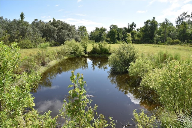 3353 NE 774th Ave, Old Town, FL 32680 - photo 11
