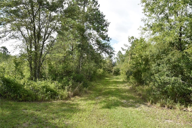 3353 NE 774th Ave, Old Town, FL 32680 - photo 26
