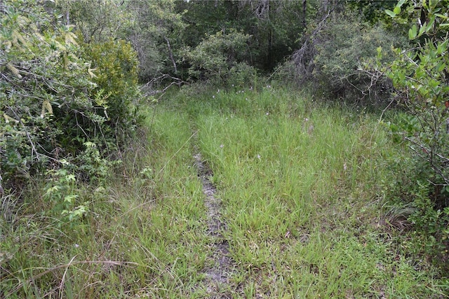 3353 NE 774th Ave, Old Town, FL 32680 - photo 30