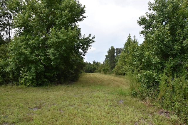 3353 NE 774th Ave, Old Town, FL 32680 - photo 34