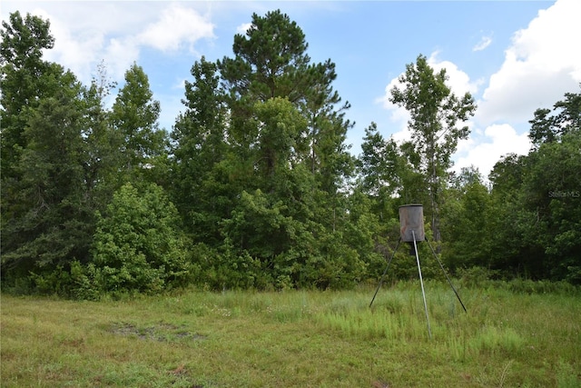 3353 NE 774th Ave, Old Town, FL 32680 - photo 36