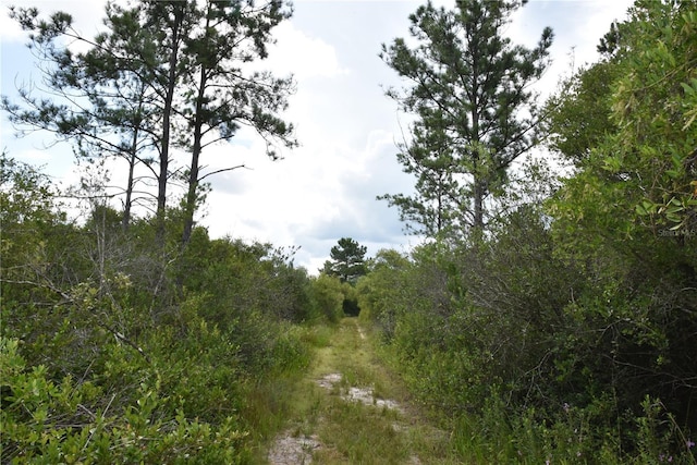 3353 NE 774th Ave, Old Town, FL 32680 - photo 41