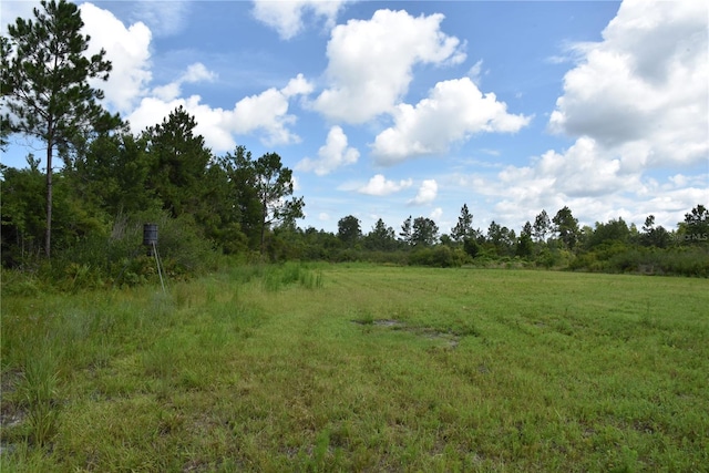 3353 NE 774th Ave, Old Town, FL 32680 - photo 42