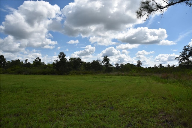 3353 NE 774th Ave, Old Town, FL 32680 - photo 43