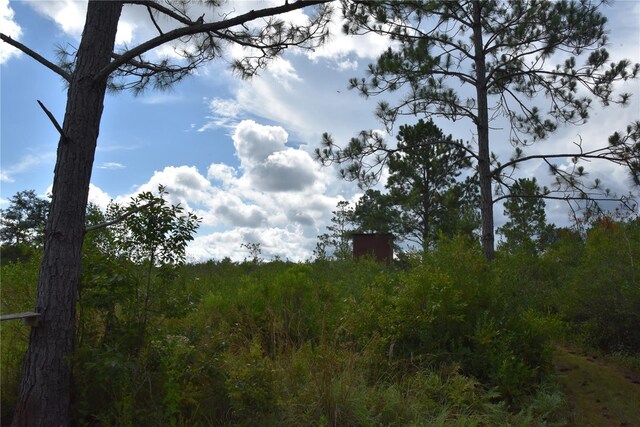 3353 NE 774th Ave, Old Town, FL 32680 - photo 44