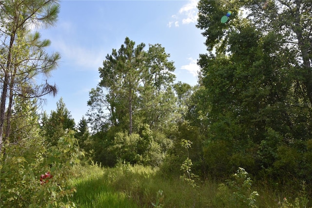 3353 NE 774th Ave, Old Town, FL 32680 - photo 46