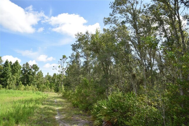 3353 NE 774th Ave, Old Town, FL 32680 - photo 48