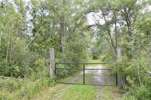3353 NE 774th Ave, Old Town, FL 32680 - photo 49
