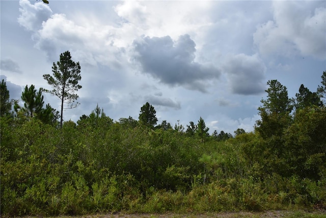 3353 NE 774th Ave, Old Town, FL 32680 - photo 50