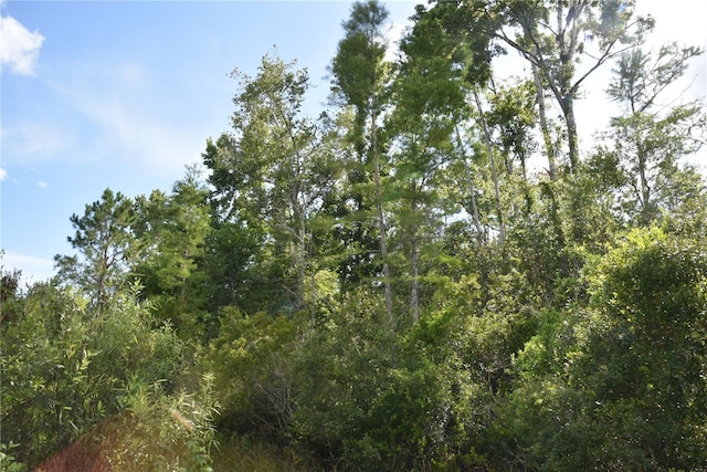 3353 NE 774th Ave, Old Town, FL 32680 - photo 52