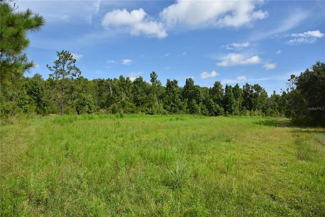 3353 NE 774th Ave, Old Town, FL 32680 - photo 53