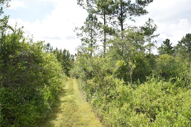 3353 NE 774th Ave, Old Town, FL 32680 - photo 55