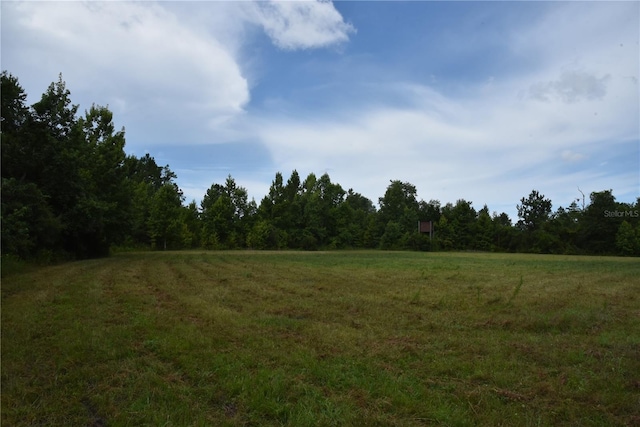 3353 NE 774th Ave, Old Town, FL 32680 - photo 58